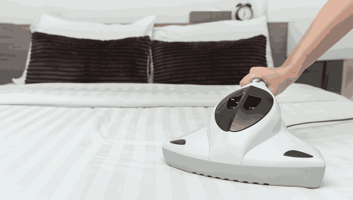 Professional Mattress Cleaning Armadale